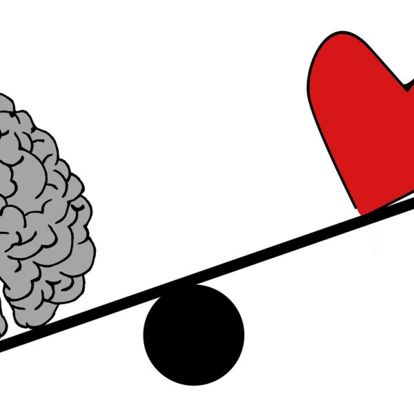 Harvard revela los mejores alimentos para potenciar el cerebro