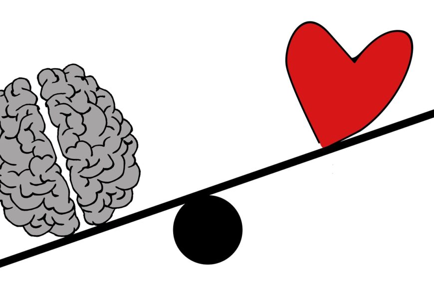 Harvard revela los mejores alimentos para potenciar el cerebro