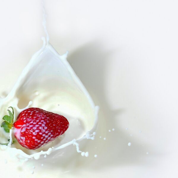 El Debate en Torno al Consumo de Leche y su Impacto en la Buena Alimentación: ¿Cuándo es Recomendable Detenerse?
