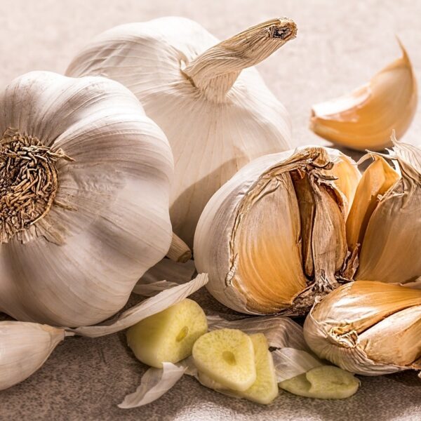Beneficios del consumo regular de ajo para la salud: Descubre por qué deberías incluirlo en tu dieta diaria