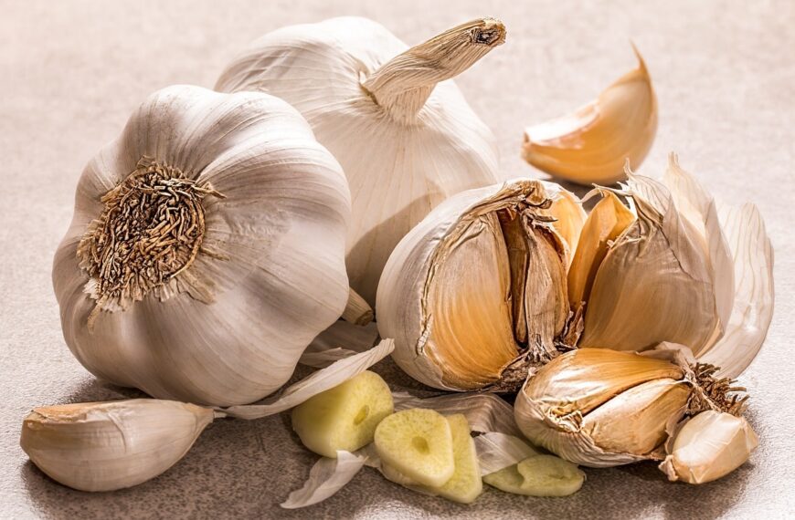 Beneficios del consumo regular de ajo para la salud: Descubre por qué deberías incluirlo en tu dieta diaria
