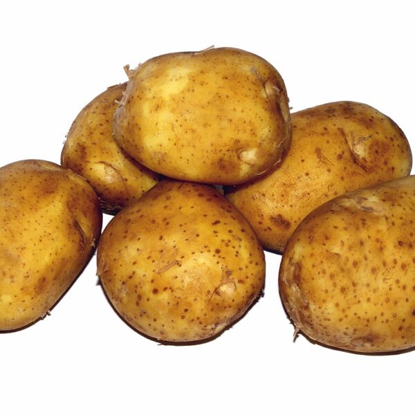 Evita refrigerar las patatas: los especialistas advierten sobre los riesgos