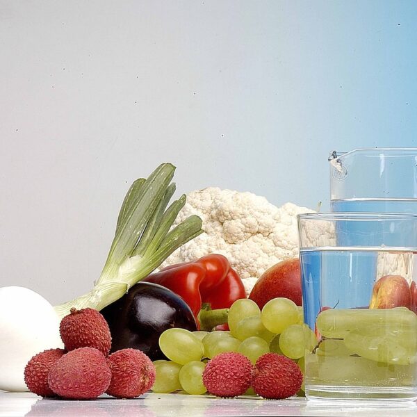 Día Mundial de la Alimentación: Desmitificando los Mitos Nutricionales Más Comunes