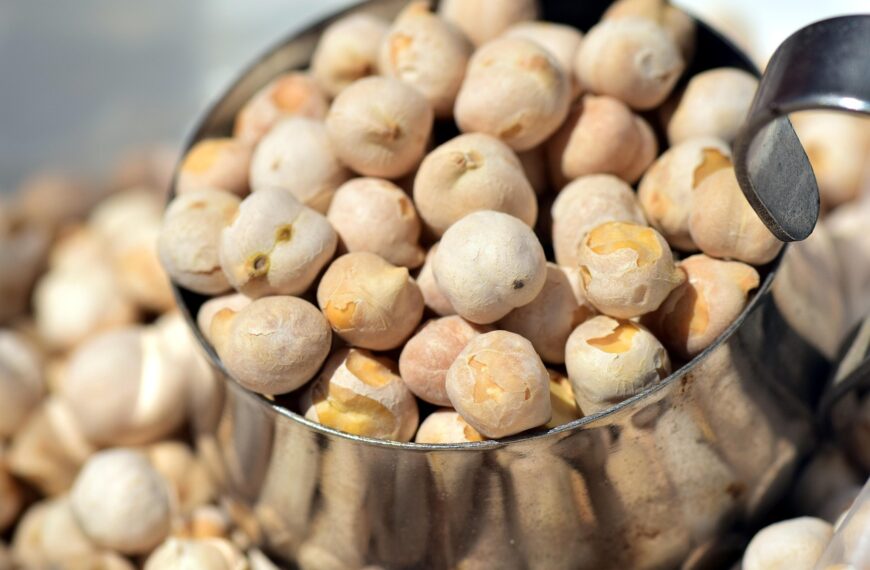 Garbanzos con verduras al vapor: una forma nutritiva y sostenible de comer