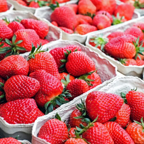 Junio, el mes ideal para una alimentación fresca y sostenible: ¡Aprovecha los productos de temporada!