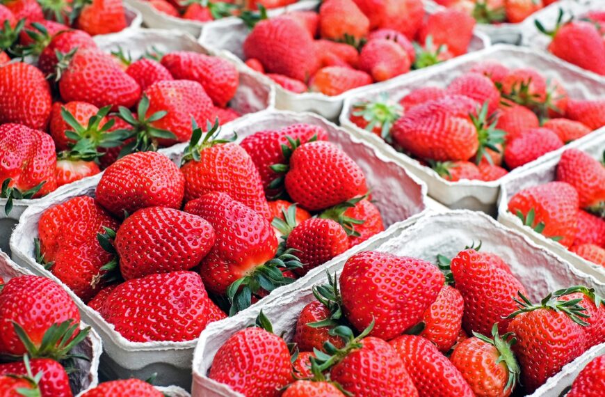 Junio, el mes ideal para una alimentación fresca y sostenible: ¡Aprovecha los productos de temporada!