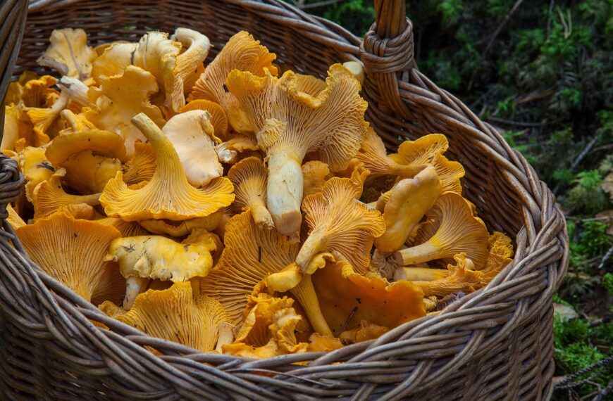 📰 ¡Bienvenido Noviembre de Sabor! Descubre el Menú de Temporada en Cash Gaymo Coín y Alhaurín de la Torre